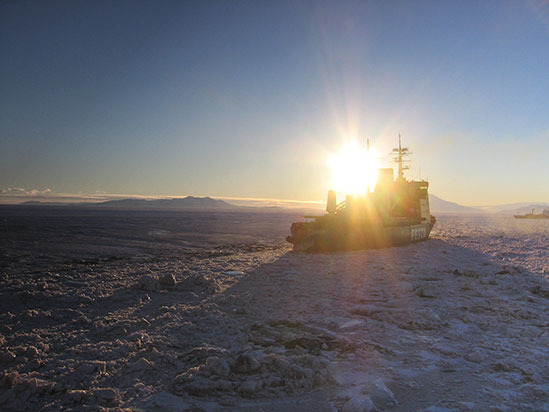 10. Antarctica Wedding