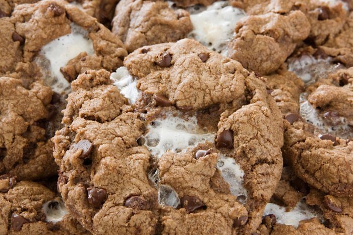 Toasted Marshmallow and Nutella Chocolate Chip Cookies