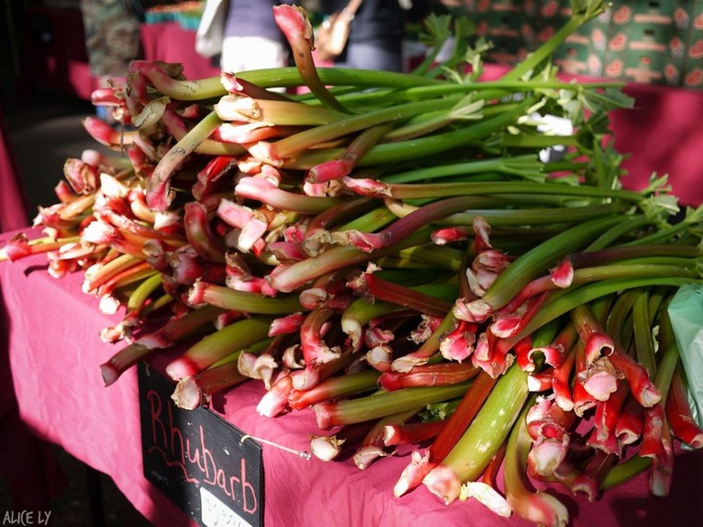 #59 Portland Farmers' Market, Portland, Maine