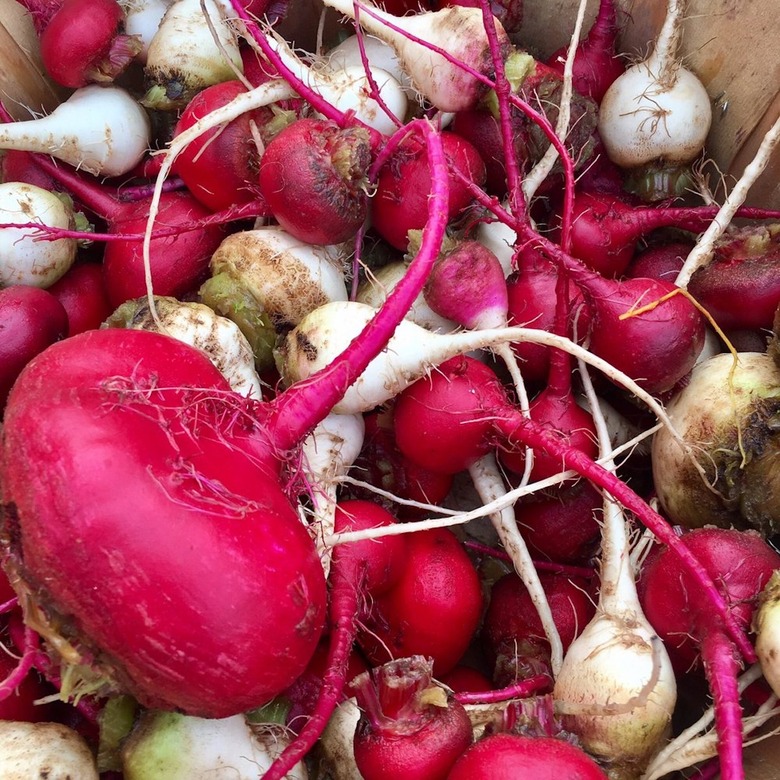 #7 Crescent City Farmers Market, New Orleans