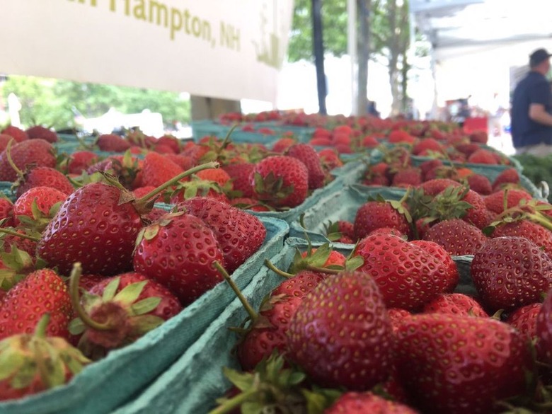 #18 Boston Copley Square Farmers Market, Boston