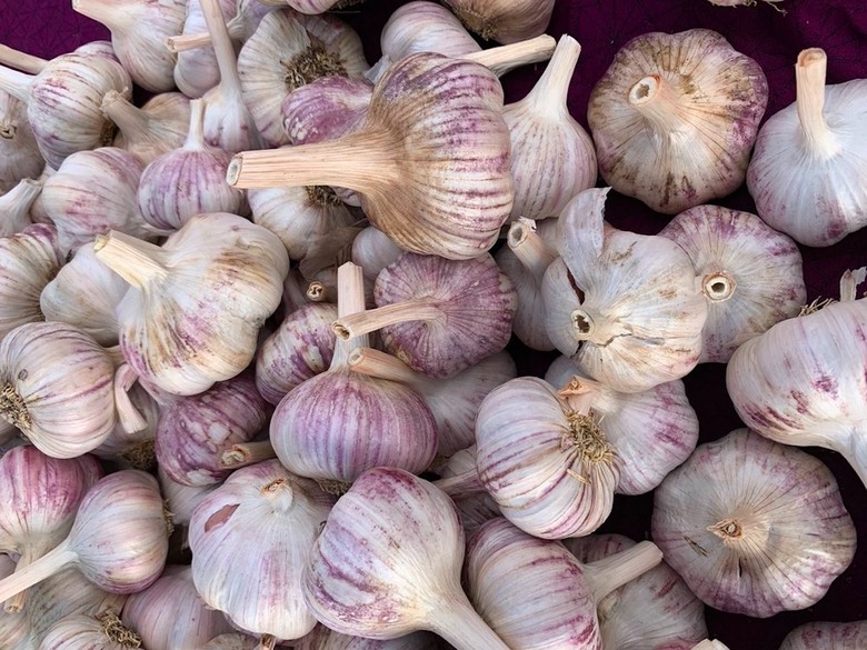 #89 Saturday Farmer's Market, Newport, Ore.