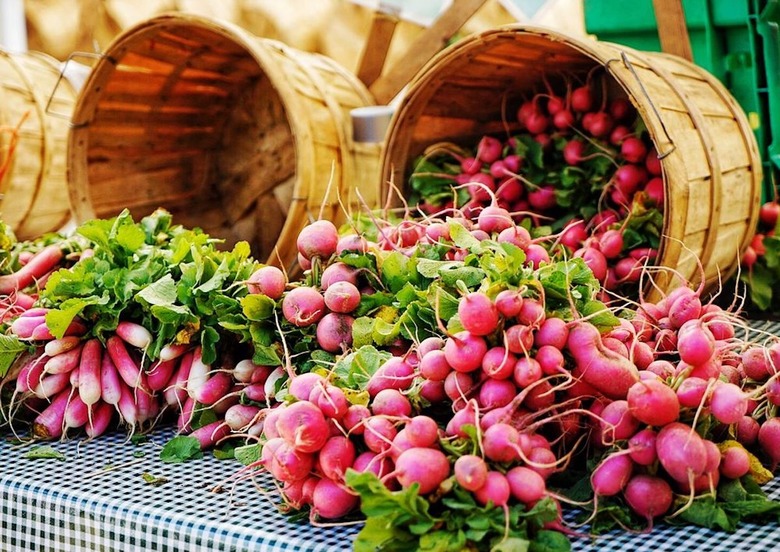 101 Best Farmers Markets in America for 2017