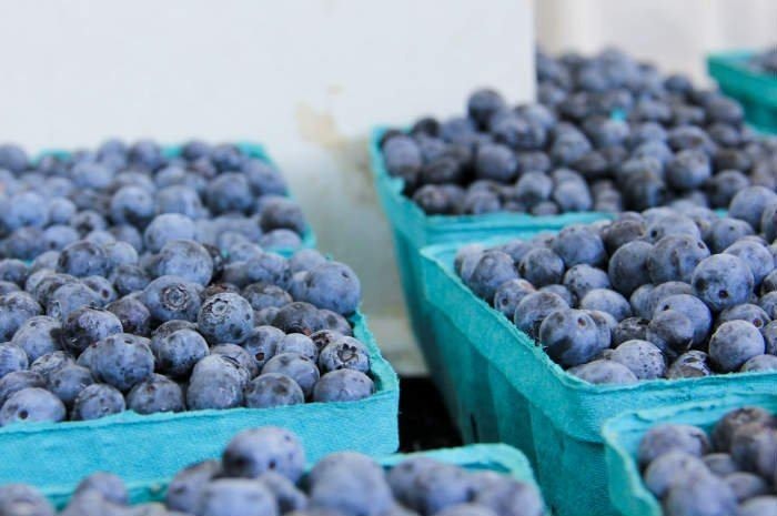 #80 Fulton Farmers Market, Minneapolis