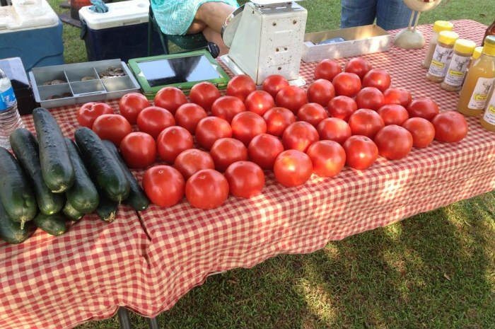 #71 Statesboro Main Street Farmers Market, Statesboro, Ga.