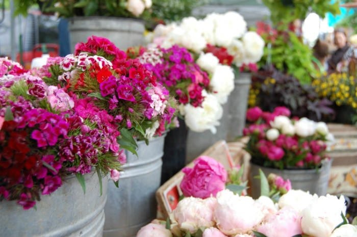 #38 Boulder County Farmers Market, Boulder 