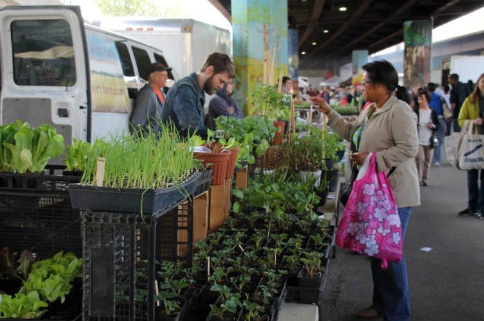 #25 Baltimore Farmers' Market, Baltimore