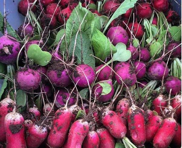 #23 Downtown Farmers Market, Salt Lake City