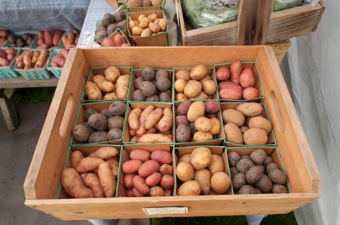 #93 Bainbridge Island Farmers' Market, Bainbridge Island, Wash.