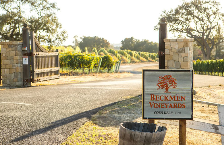 49. Beckmen Vineyards, Los Olivos, Calif.