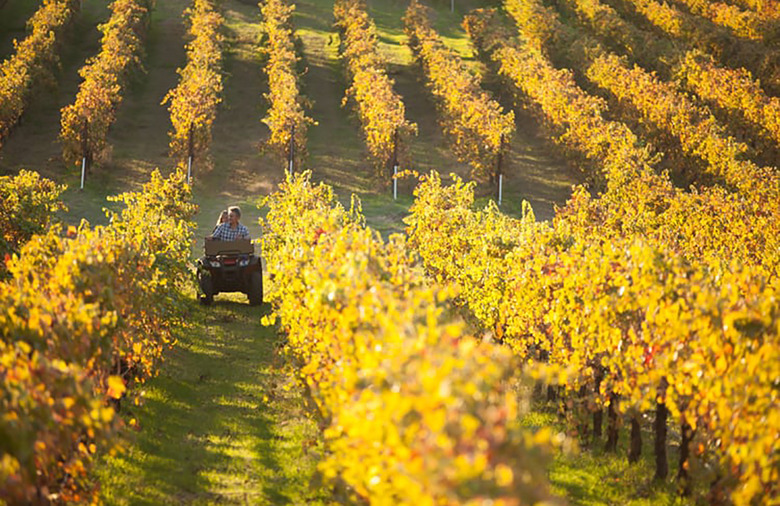  70. Bokisch Vineyards, Lodi, Calif.