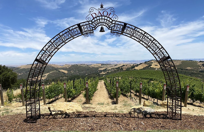 7. Daou, Paso Robles, Calif. 