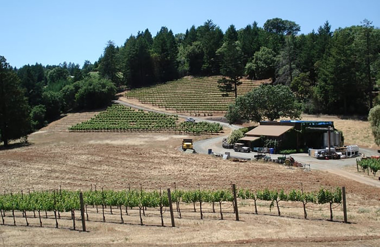 6. Smith-Madrone Vineyards and Winery, St. Helena, Calif.