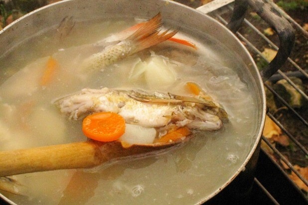 Fish Stock