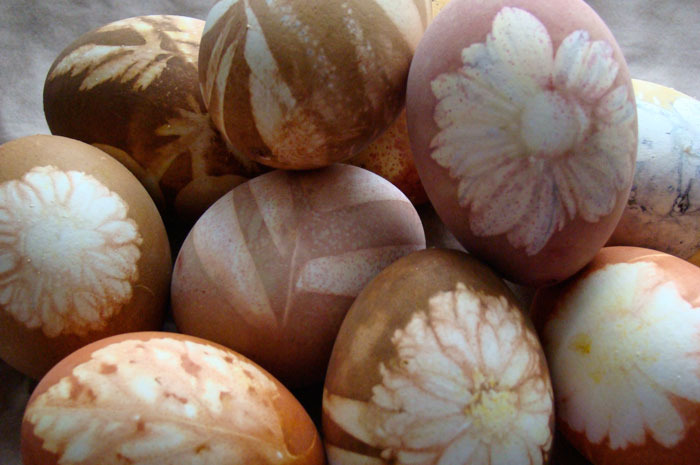  Onion Skin Eggs