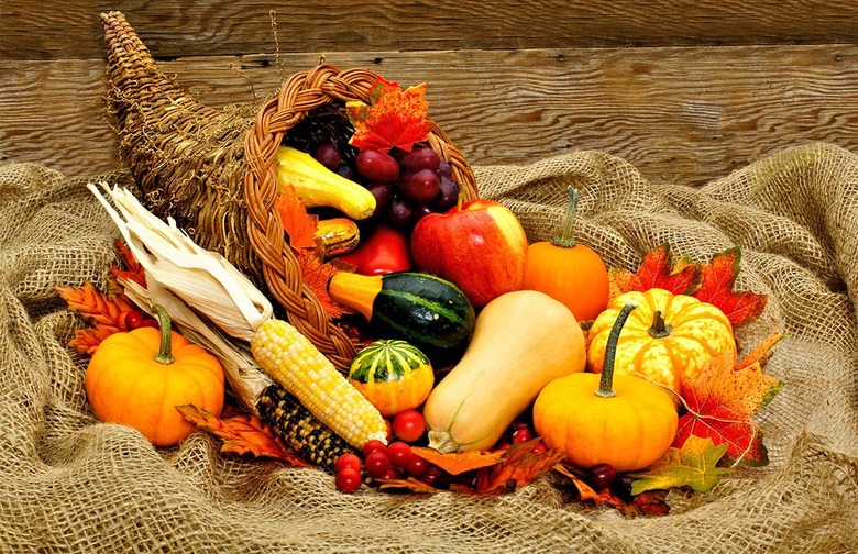 Pumpkins, Gourds, and Corn         