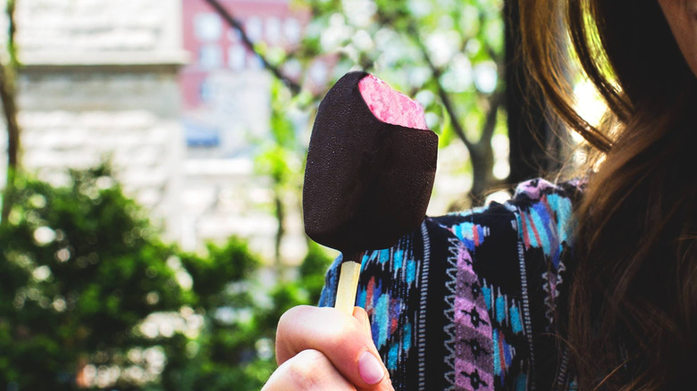 dark chocolate raspberry sorbet pop