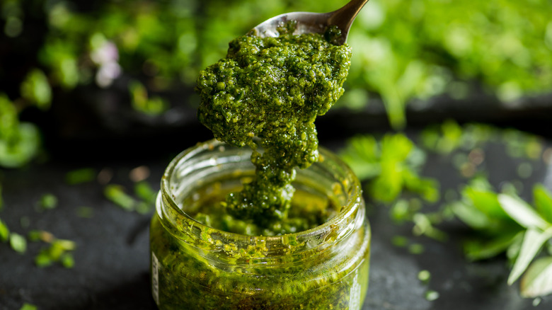 Fresh herb pesto