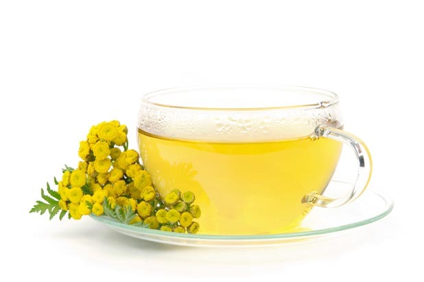 Feverfew Tea