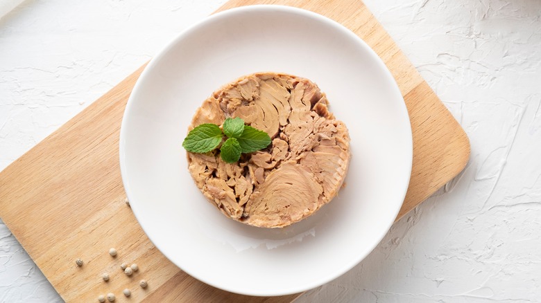 Canned tuna steak on plate