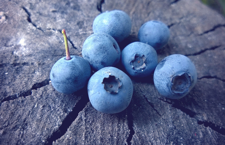 Blueberries