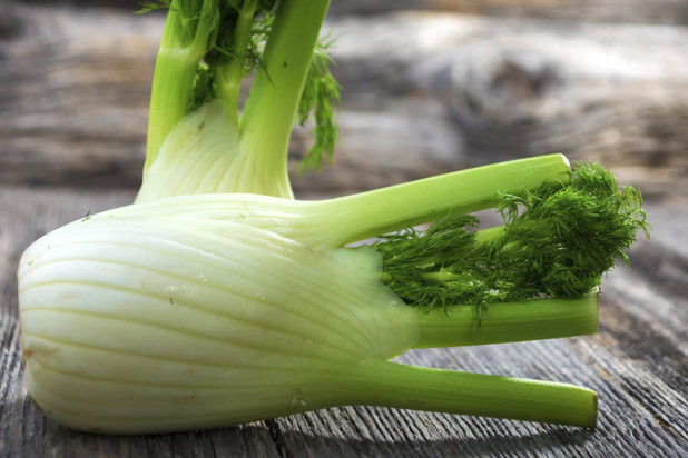 Fennel