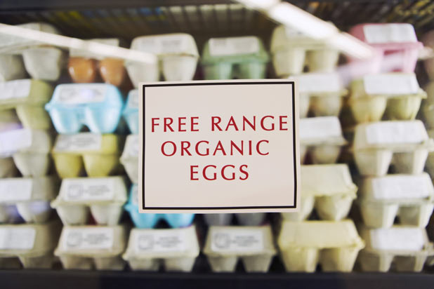 Free-Range