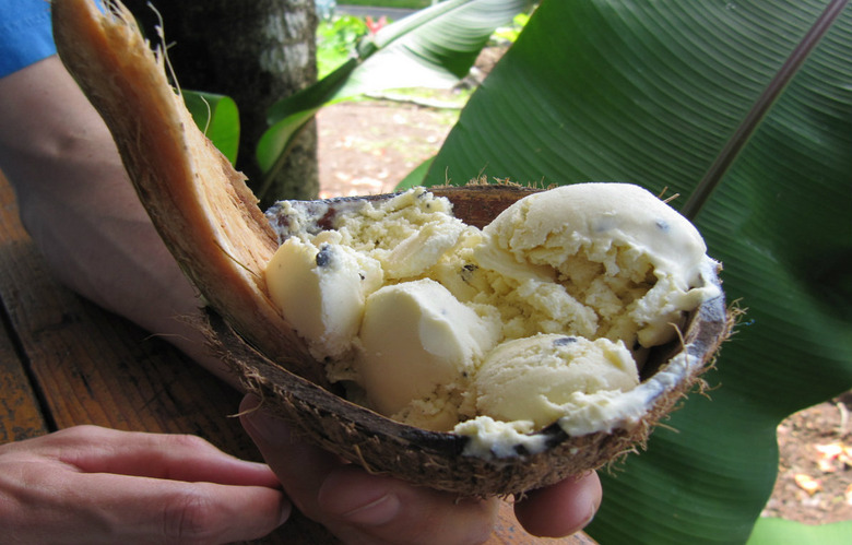 Coconut Milk Ice Cream with Ginger and Lime