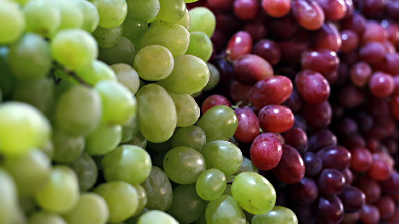 red and green grapes