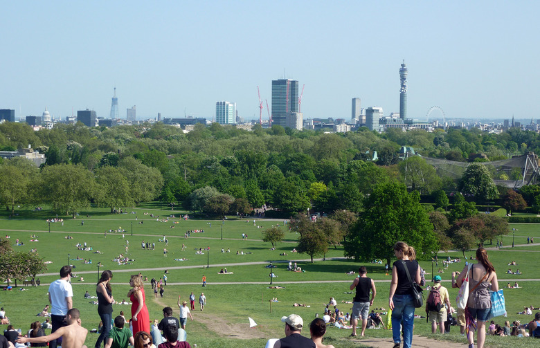 Primrose Hill (London)