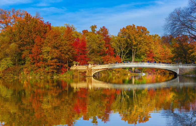 Central Park (New York City)