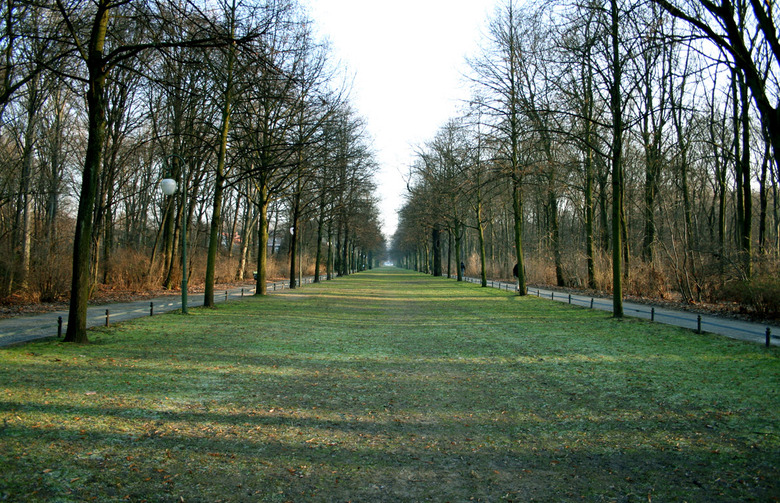 Tiergarten (Berlin)