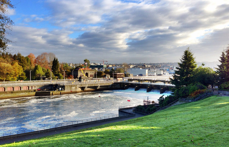 Ballard Locks (Seattle)