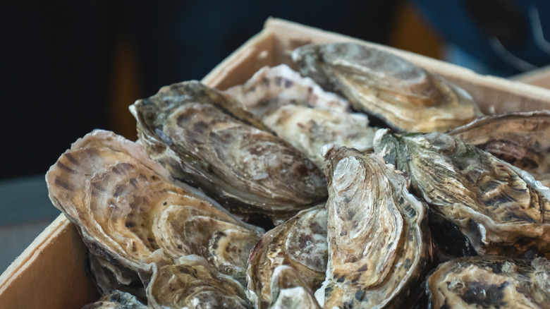 Oysters in a box