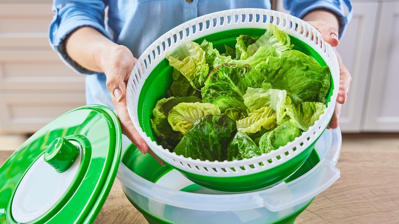 person demonstrating salad spinner