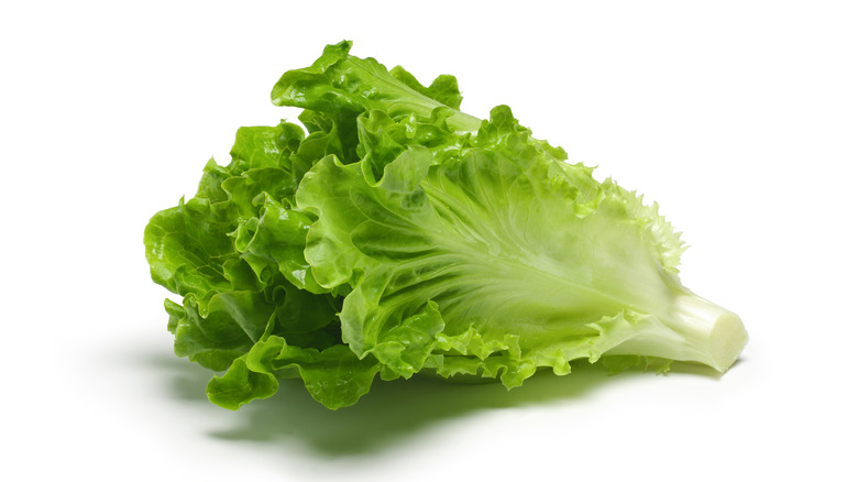 lettuce leaves