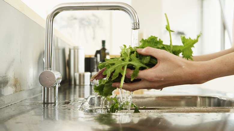 cleaning greens with running water