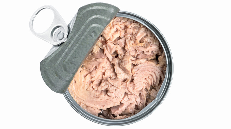 Single can of tuna