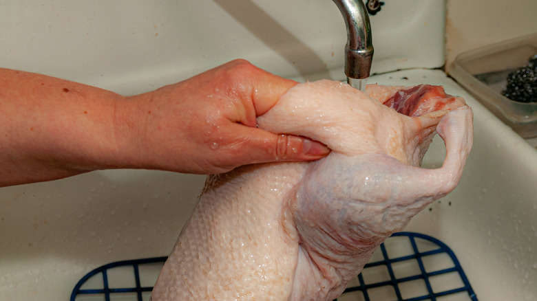 Duck in the sink