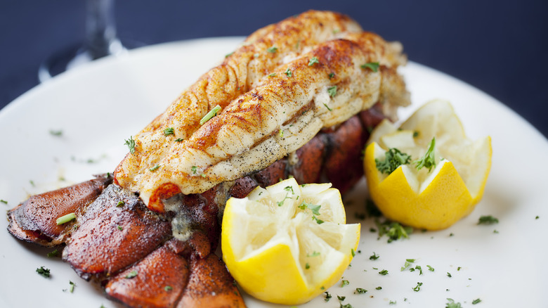 lobster tail on plate