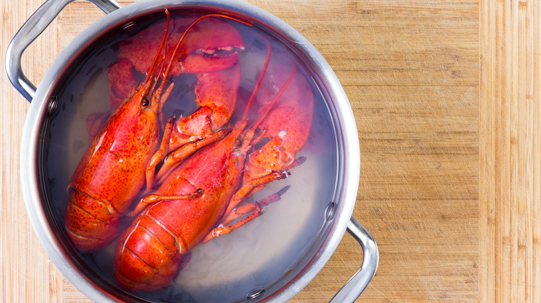 Lobsters in a pot