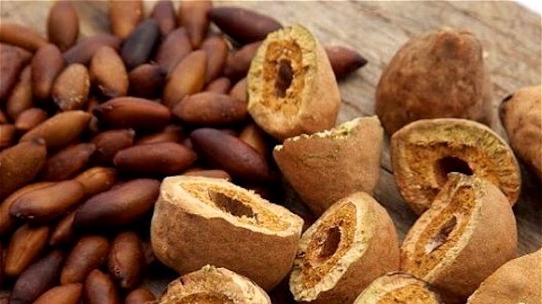 Baru nuts and shells 