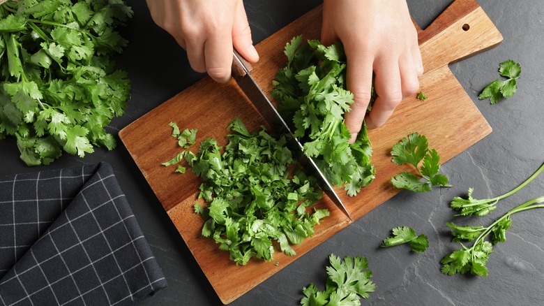 fresh cilantro on cutting board