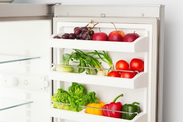 Rubber Seal on Your Refrigerator Door