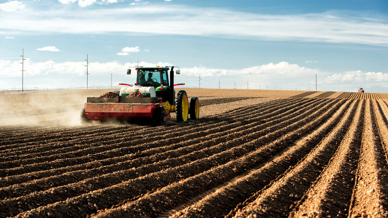 Potato farming in Idaho