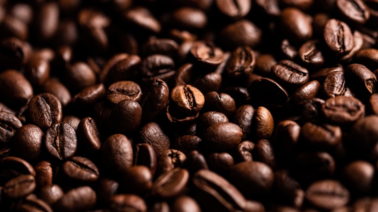 coffee beans close up