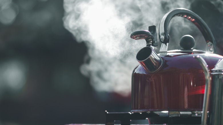 steaming kettle on stove