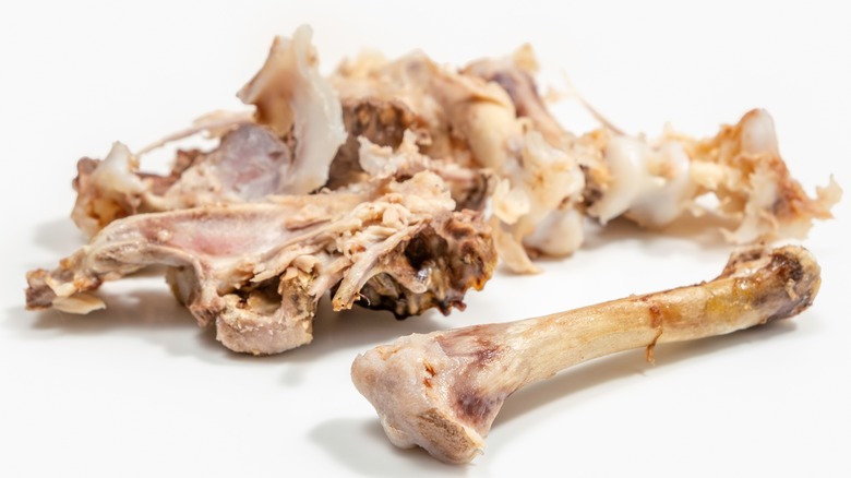 meat scraps no chicken bones