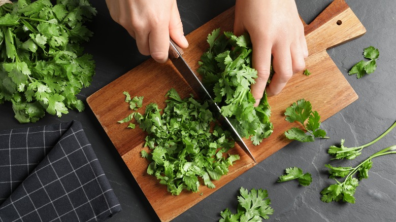 Person chopping cilantro on wooden board