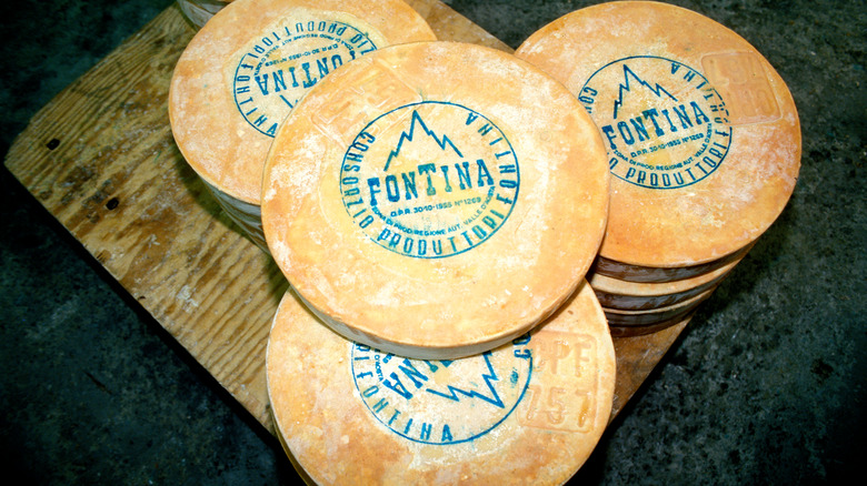 Wheels of fontina cheese